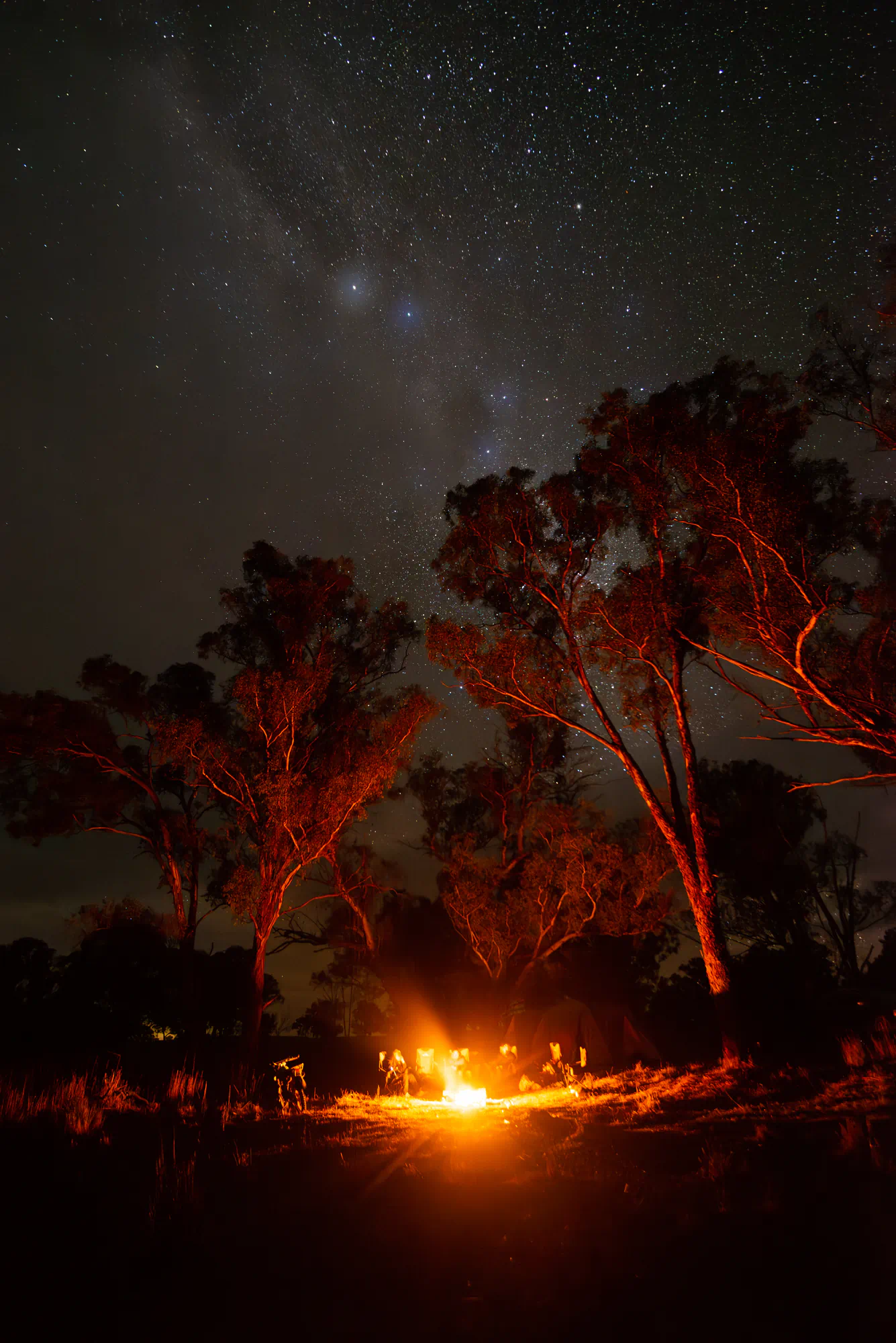 stars above campfire